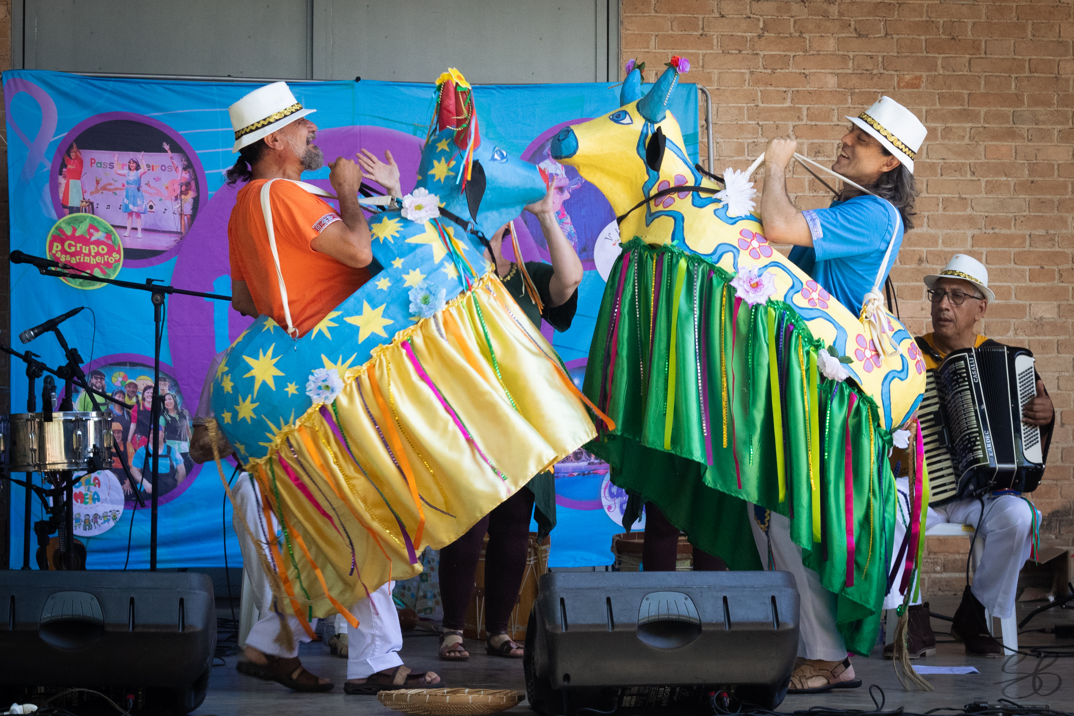 Imagem 3 do espetáculo Brinca Brasil